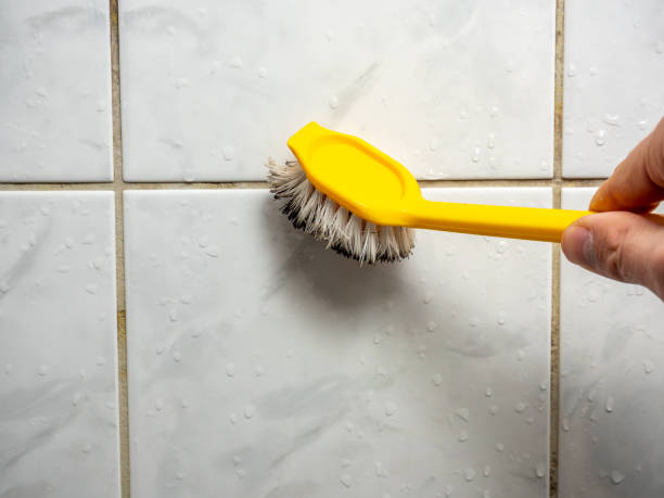  Yreka, CA Mold Removal Pros