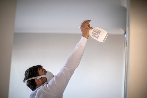 Certified Mold Removal in Yreka, CA