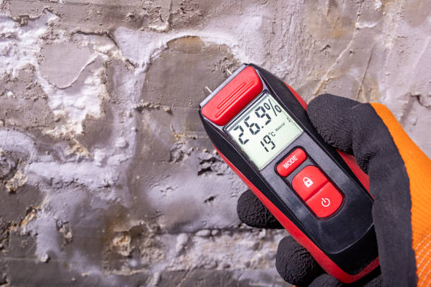 Best Emergency Mold Removal  in Yreka, CA