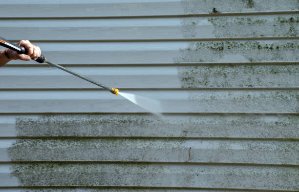 Best Local Mold Removal Service  in Yreka, CA