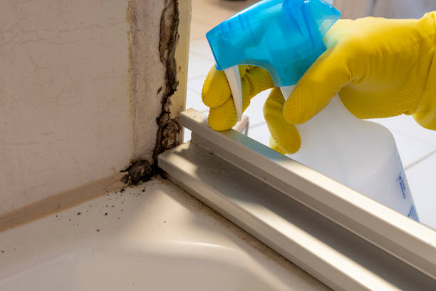 Best Mold Testing  in Yreka, CA