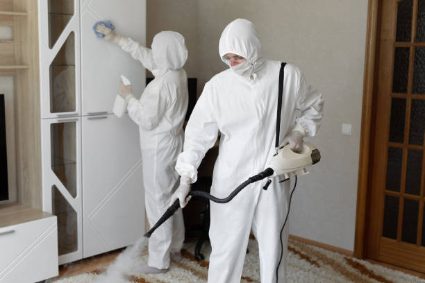 Best Crawl Space Mold Removal  in Yreka, CA