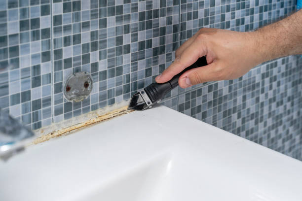 Best Best Mold Removal Companies  in Yreka, CA