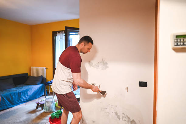 Professional Mold Removal in Yreka, CA