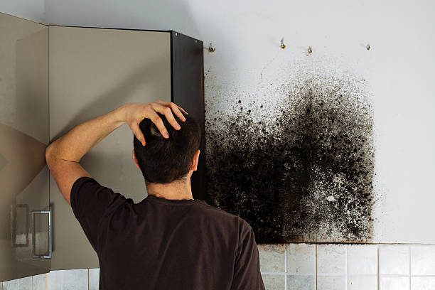 Best Commercial Mold Removal  in Yreka, CA
